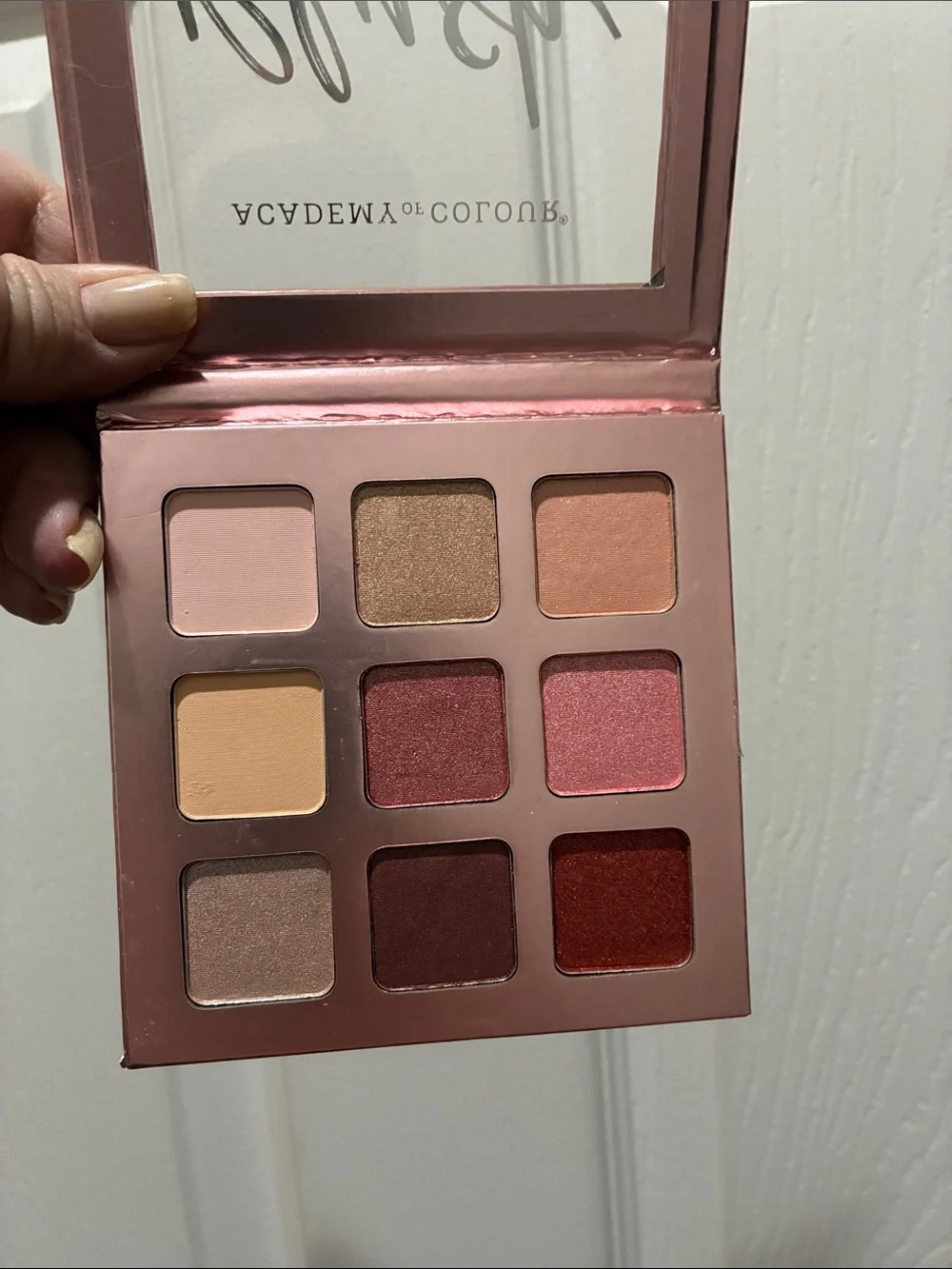 Academy of Colors Blush Eyeshadow Palette